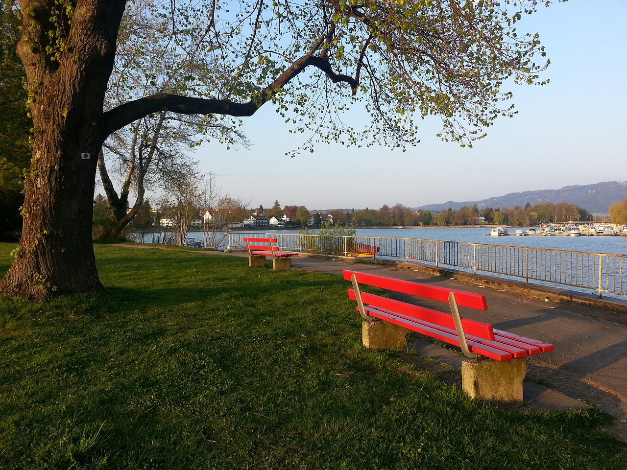 重点提到 重点提到